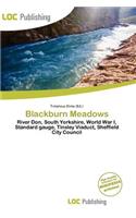 Blackburn Meadows