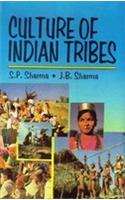 Culture Of Indian Tribes (Set In 2 Vols.)