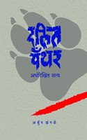 Dalit Panther à¥¤ Arjun Dangle à¥¤ à¤¦à¤²à¤¤ à¤ªà¤¥à¤° : à¤…à¤§à¤°à¤–à¤¤ à¤¸à¤¤à¤¯ à¥¤ à¤…à¤°à¤œà¤¨ à¤¡à¤—à¤³ [hardcover] Arjun Dangle,Milind Kadane [Jan 01, 2021]...