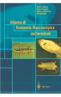 Atlante Di Anatomia Macroscopica Dei Vertebrati