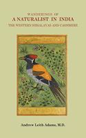 Wanderings of a Naturalist in India, the Western Himalayas and Cashmere