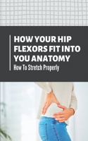 How Your Hip Flexors Fit Into You Anatomy