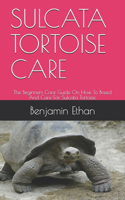 Sulcata Tortoise Care