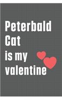 Peterbald Cat is my valentine