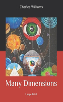 Many Dimensions: Large Print