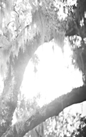 Linda Foard Roberts: Lament