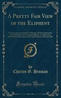 A Pretty Fair View of the Eliphent: Or Ten Letters by Charles G. Hinman, Written During His Trip Overland from Groveland, Illinois, to California in 1849 and His Adventures in the Gold Fields in 1849 and 1850 (Classic Reprint)