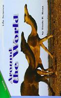 Reading 2011 Leveled Reader Grade 1.1.6 Advanced (Title to Be Determined)