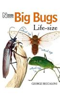 Big Bugs Life-Size