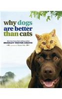 Why Dogs Are Better Than Cats