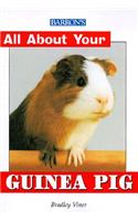 All about Your Guinea Pig