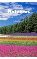 Notebook: Notebook / Diary With Colored Cover - Wide Ruled Line Paper