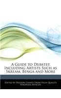 A Guide to Dubstep, Including Artists Such as Skream, Benga and More