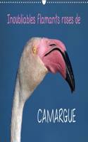 Inoubliables Flamants Roses De Camargue 2017