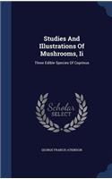 Studies And Illustrations Of Mushrooms, Ii: Three Edible Species Of Coprinus(English)
