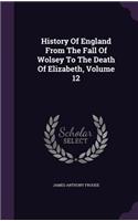 History of England from the Fall of Wolsey to the Death of Elizabeth, Volume 12