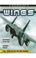 Steck-Vaughn Boldprint Anthologies: Individual Student Edition Magenta Wings