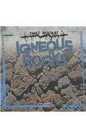 Igneous Rocks