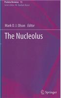 The Nucleolus