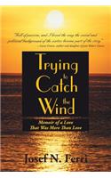 Trying to Catch the Wind