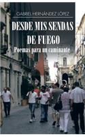 Desde mis sendas de fuego cuentos de un caminante/ Desde mis sendas de fuego poemas para un caminante