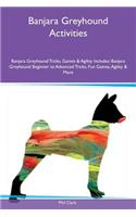 Banjara Greyhound Activities Banjara Greyhound Tricks, Games & Agility Includes: Banjara Greyhound Beginner to Advanced Tricks, Fun Games, Agility & More