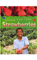 Grow Your Own Strawberries