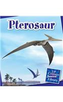 Pterosaur