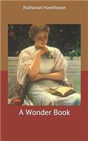 A Wonder Book