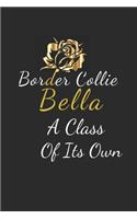 Border Collie Bella A Class Of Its Own