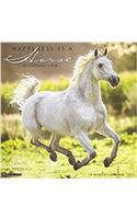 Happiness Is a Horse 2018 Calendar