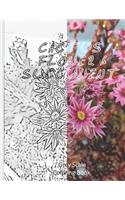 Cactus Flower & Succulent Grry Scale Coloring Book