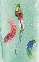 Magical peacock