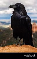 Notebook: Gothic Raven themed ruled Notebook / Journal / Diary / Composition Book / Planner / Log Book / Notes - 6 x 9 inches (15,24 x 22,86 cm), 110 wide rul
