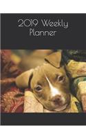 2019 Weekly Planner