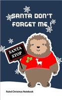 Santa Don't Forget Me!