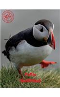 Puffin Sketchbook: (Sketchbook for Teens)