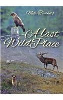 Last Wild Place