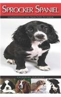 Sprocker Spaniel