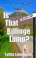 Is that Billinge Lump?