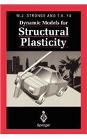 Dynamic Models for Structural Plasticity