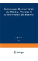Prinzipien Der Thermodynamik Und Statistik / Principles of Thermodynamics and Statistics