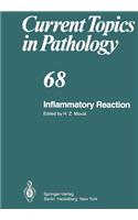 Inflammatory Reaction