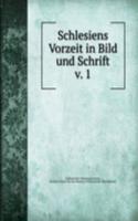 Schlesiens Vorzeit in Bild und Schrift
