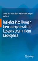 Insights Into Human Neurodegeneration: Lessons Learnt from Drosophila