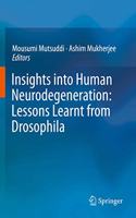 Insights into Human Neurodegeneration: Lessons Learnt from Drosophila