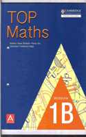 Top Maths Workbook 1B