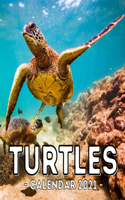 Turtles Calendar 2021