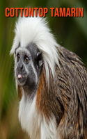 Cottontop Tamarin: Amazing Photos & Fun Facts Book About Cottontop Tamarin For Kids