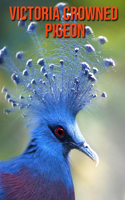 Victoria Crowned Pigeon